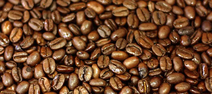 coffee beans and seeds