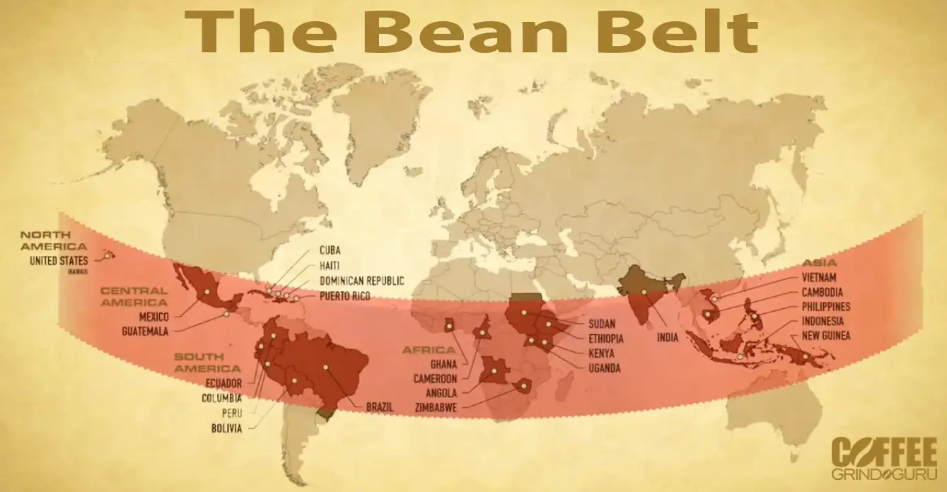 the bean belt