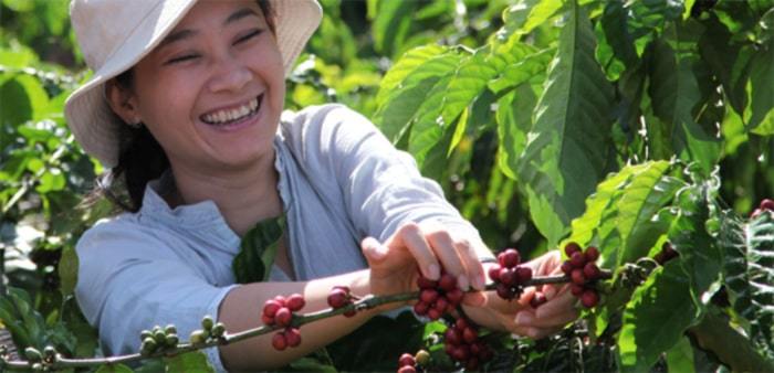 women coffee production
