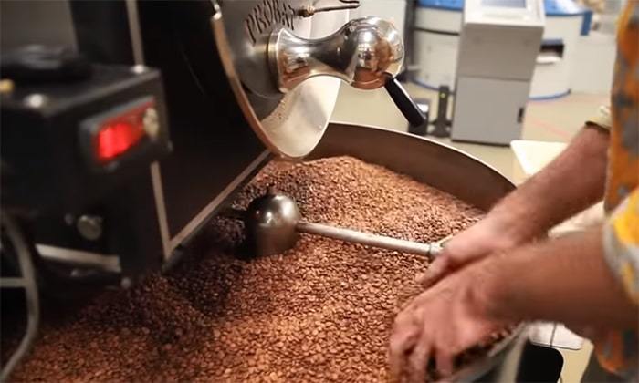 coffee roasting techniques