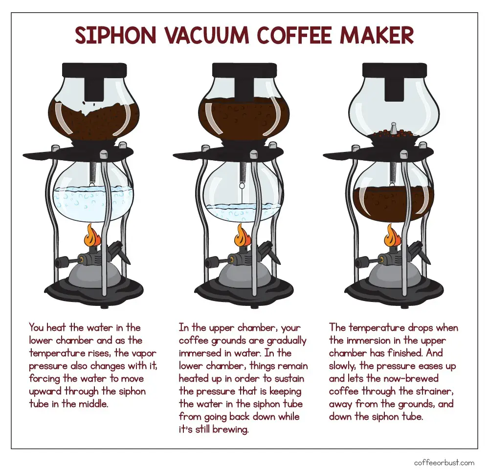 siphon coffee maker illustration